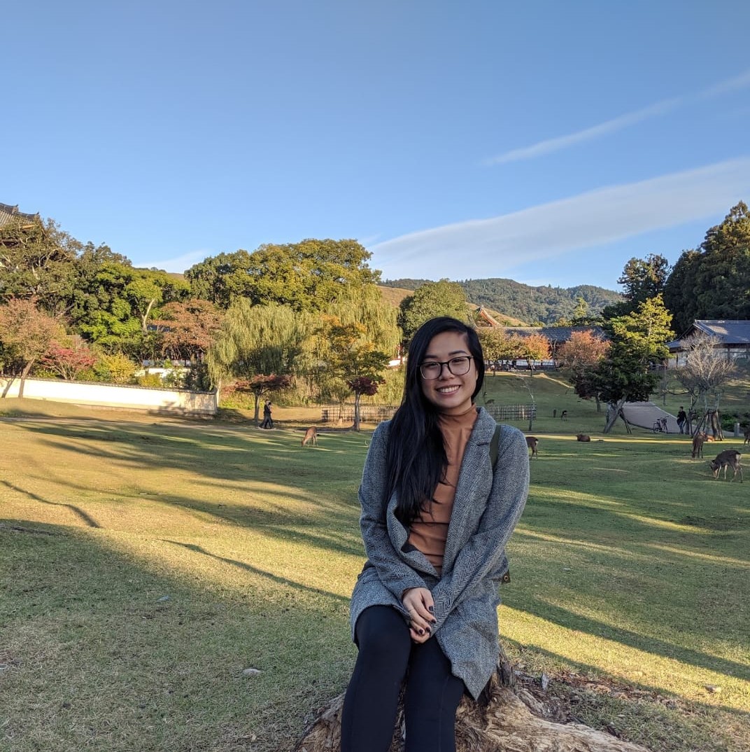 Self image in Nara Park, Japan